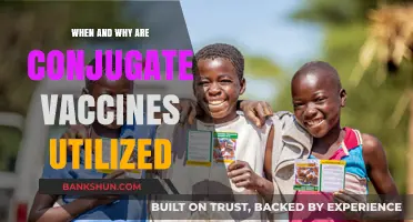 Exploring the Use of Conjugate Vaccines: Timing and Benefits