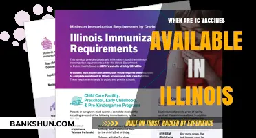 Illinois 1C Vaccine Rollout: Timeline and Eligibility Updates