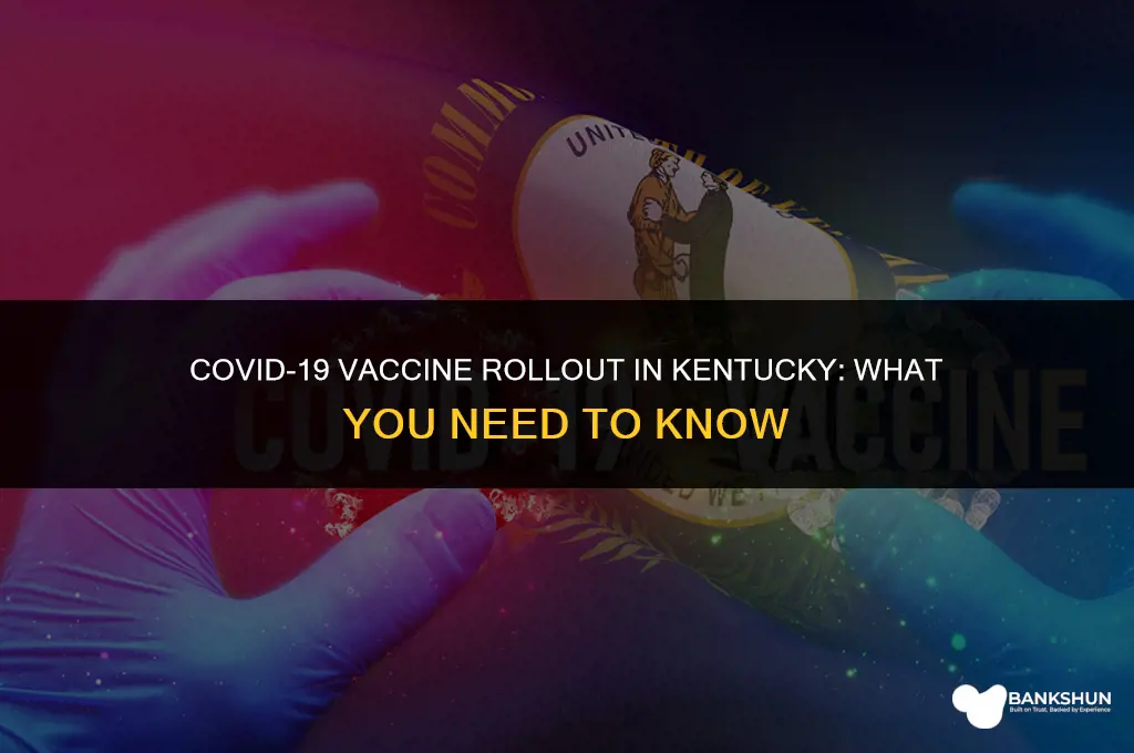 when are 1c vaccines available in kentucky