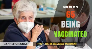 Vaccination Rollout for Seniors Aged 60-65: A Comprehensive Guide