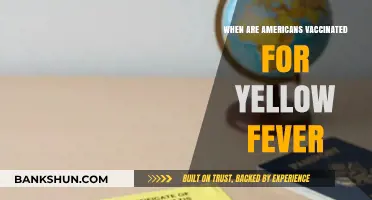 Yellow Fever Vaccination: A Guide for American Travelers