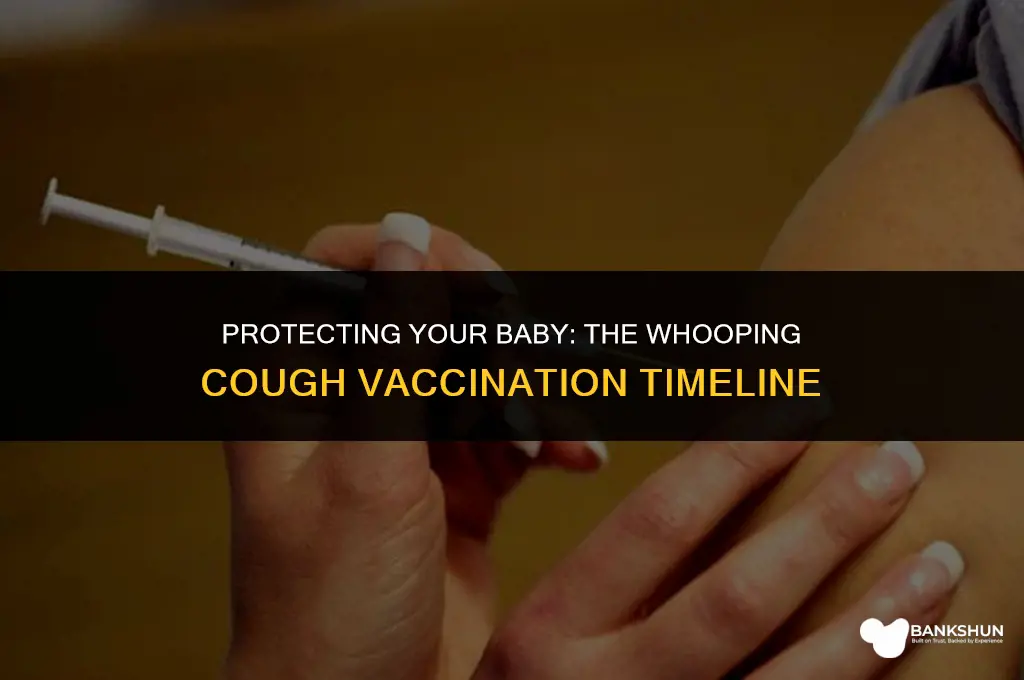 when are babies vaccinated against whooping cough