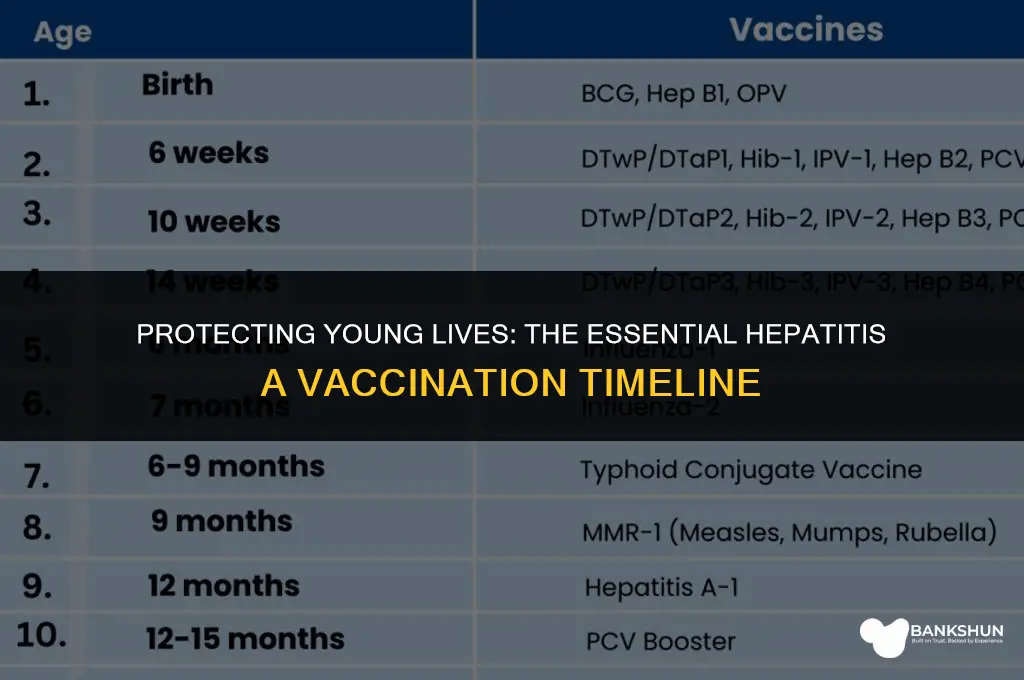 when are children vaccinated for hep a