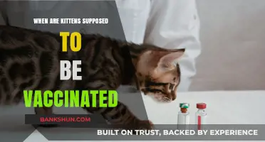 Vaccination Schedule for Kittens: A Comprehensive Guide