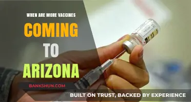 Arizona's Vaccine Rollout: What to Expect in the Coming Months