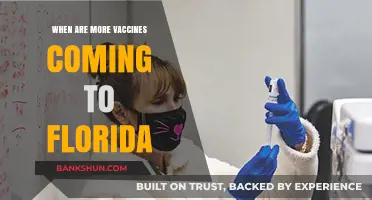 Florida's Vaccine Rollout: What to Expect in the Coming Weeks