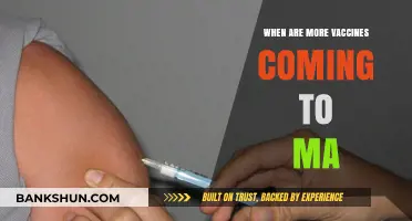 Vaccine Rollout in Massachusetts: What to Expect Next