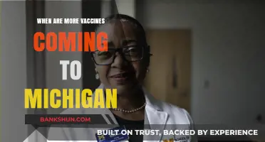 Michigan's Vaccine Rollout: What to Expect in the Coming Months