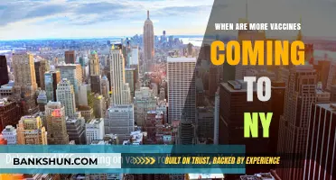 Vaccine Rollout in NY: What to Expect in the Coming Months