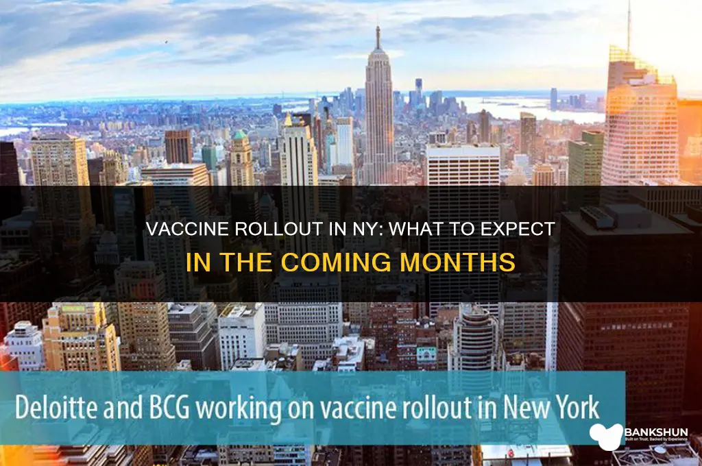 when are more vaccines coming to ny