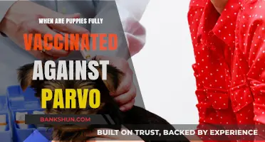 Protecting Your Puppy: The Complete Guide to Parvo Vaccination
