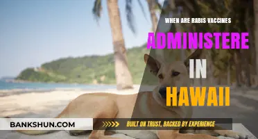 Rabies Vaccine Administration Schedule in Hawaii: A Comprehensive Guide