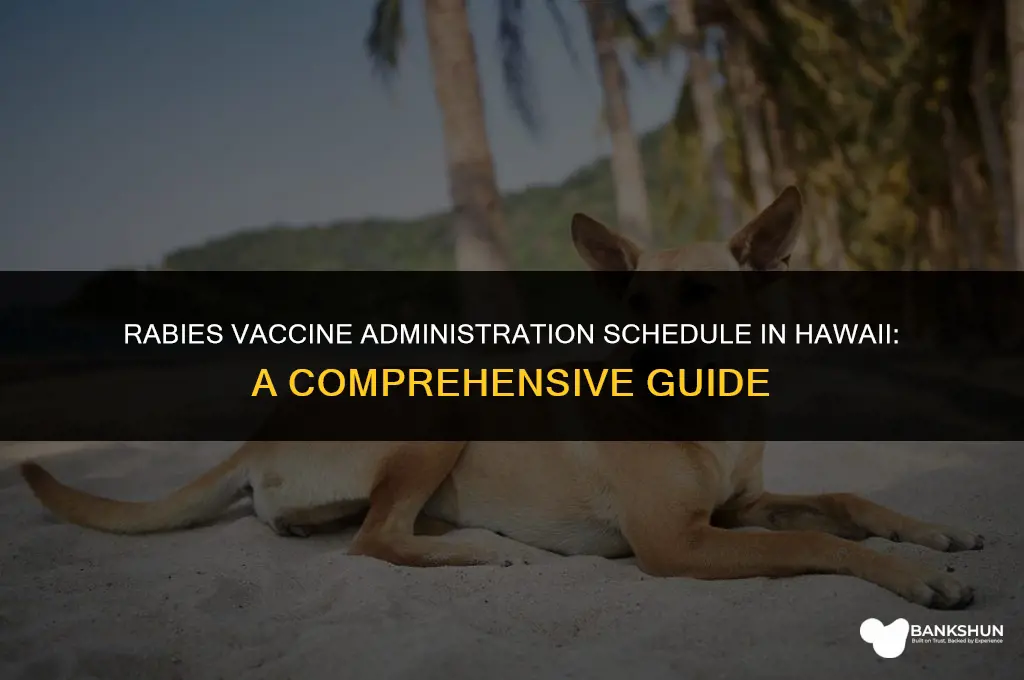 when are rabis vaccines administered in hawaii