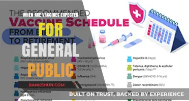 Vaccine Rollout Timeline: When Can the General Public Expect Access?