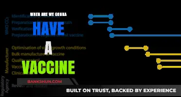 Hope on the Horizon: The Quest for a Vaccine Continues