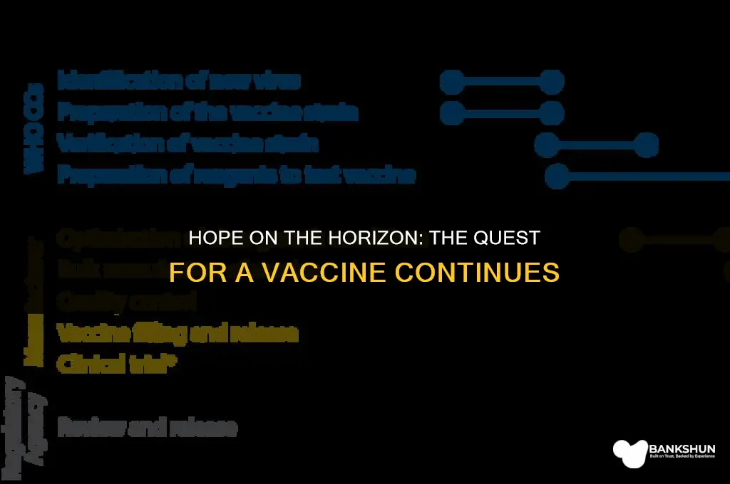 when are we gonna have a vaccine