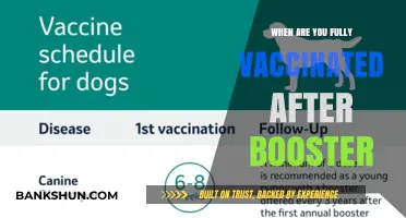 Boosting Immunity: When Do You Reach Full Vaccination Status?