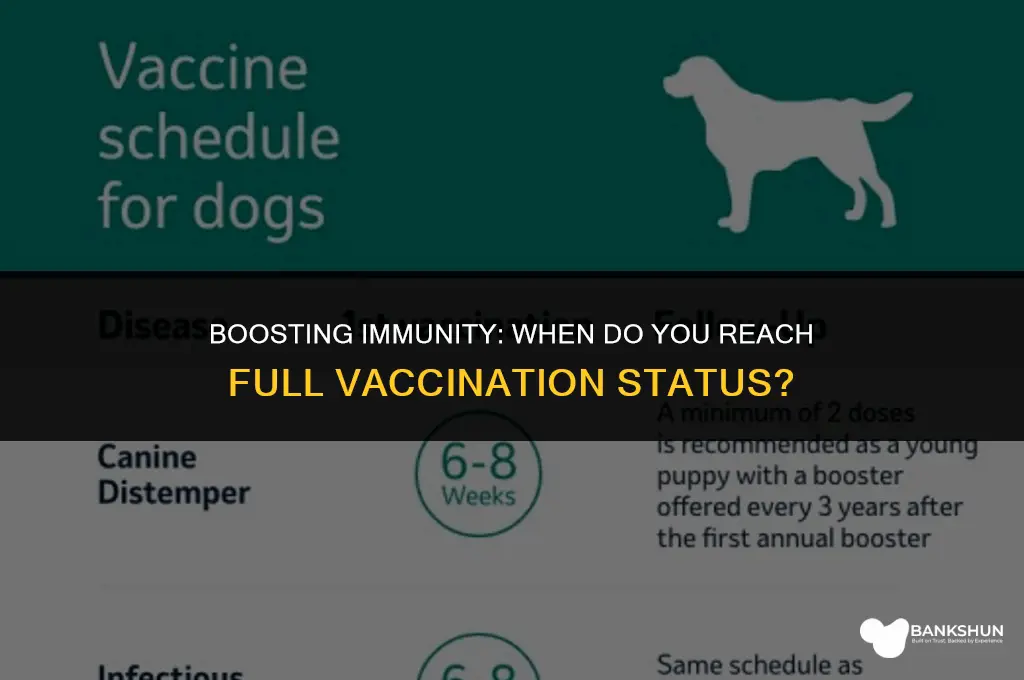 when are you fully vaccinated after booster