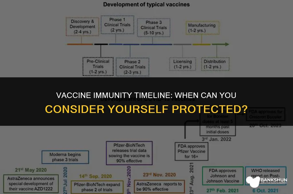 when are you immune after the vaccine