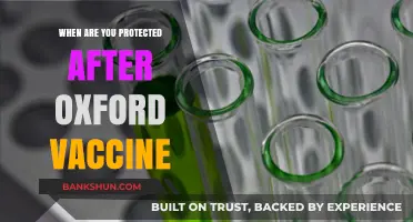 Post-Oxford Vaccine Protection: A Timeline for Immunity