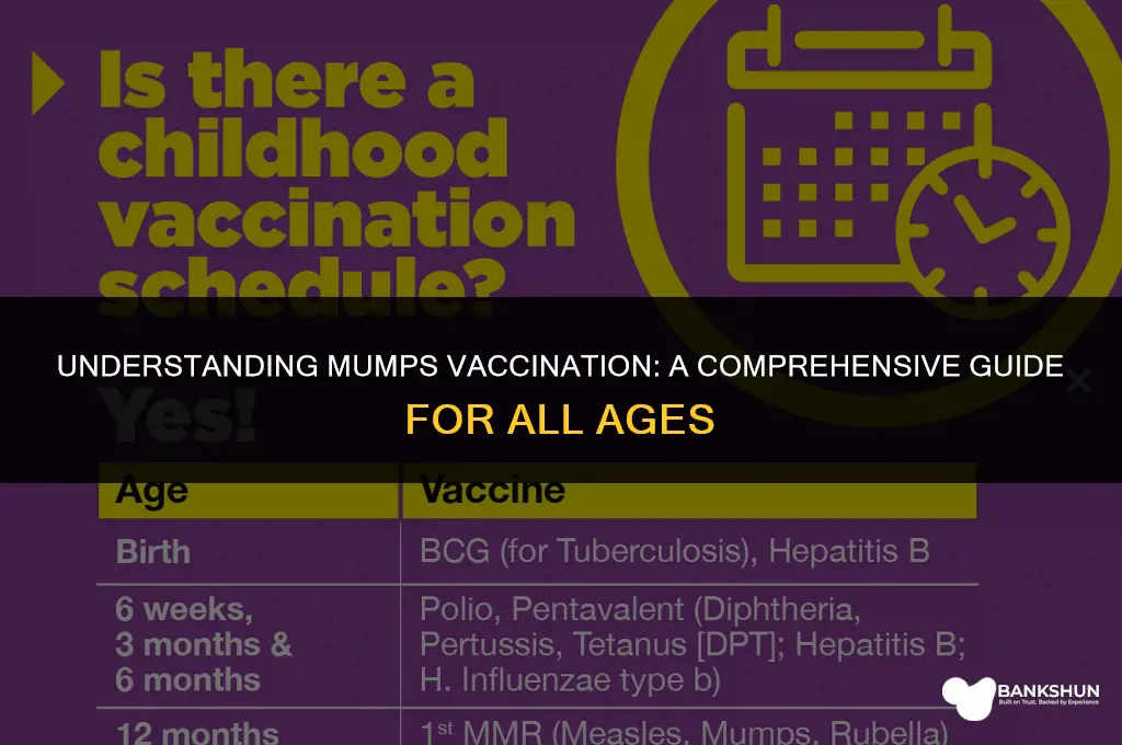 when are you usually vaccinated for mumps