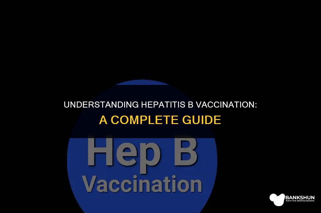 when are you vaccinated for hepatitis b