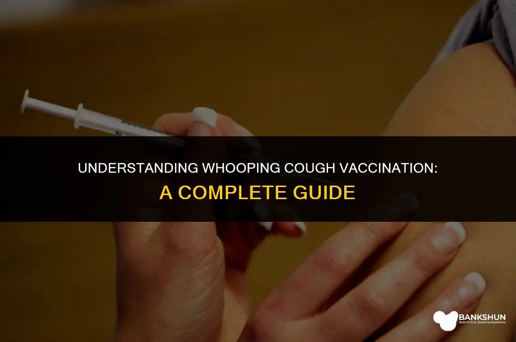 when are you vaccinated for whooping cough