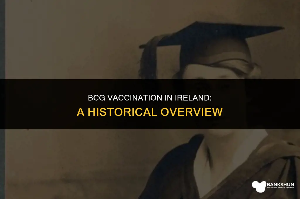 when did bcg vaccination start in ireland