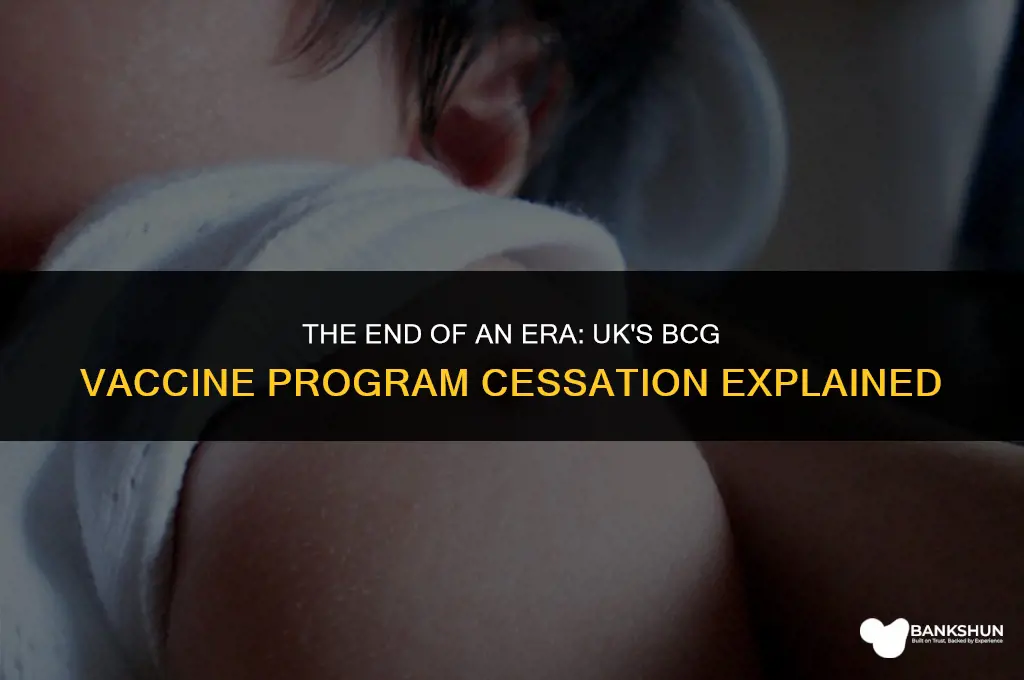 when did bcg vaccine stop in uk