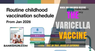 Varicella Vaccine: A Timeline of Protection for Children