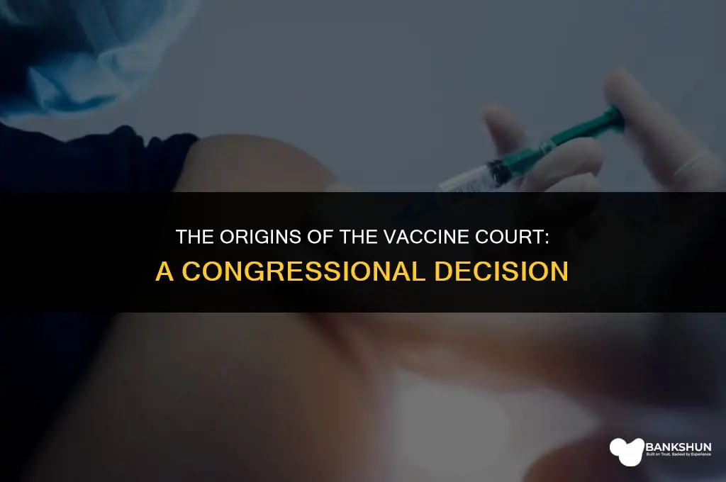 when did congress establish the vaccine court