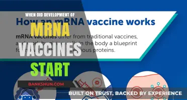 Exploring the Origins: The Genesis of mRNA Vaccine Development