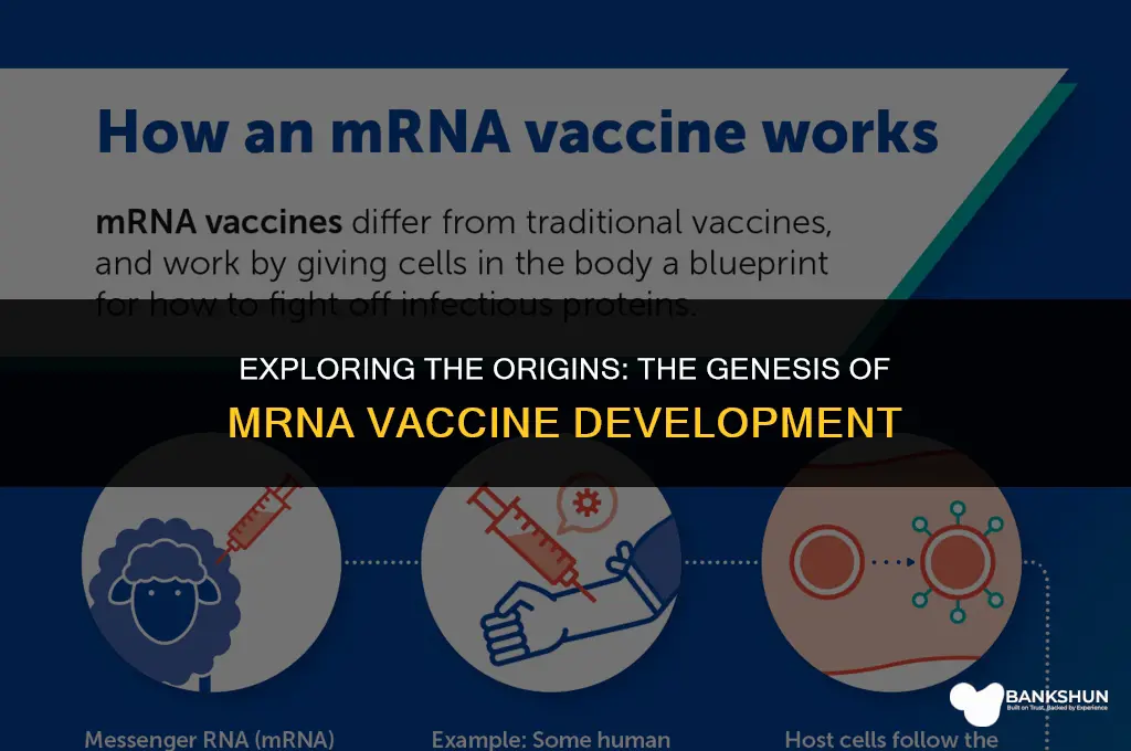 when did development of mrna vaccines start