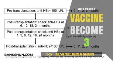 Evolution of Hepatitis B Vaccination: From Inception to Modern-Day Advances