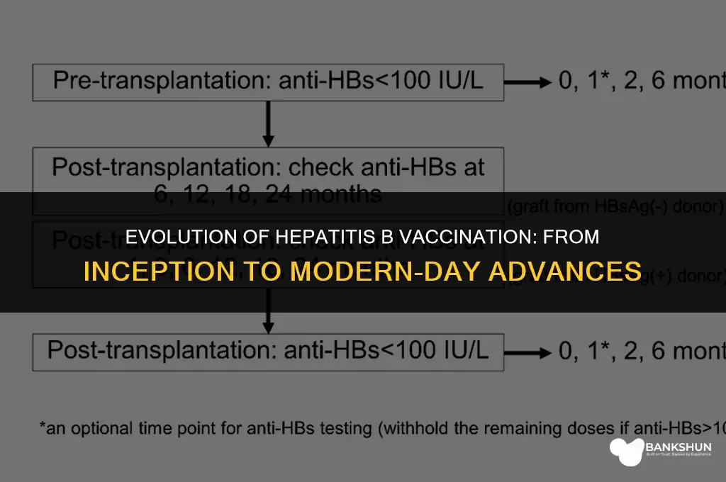 when did hep b vaccine become 3