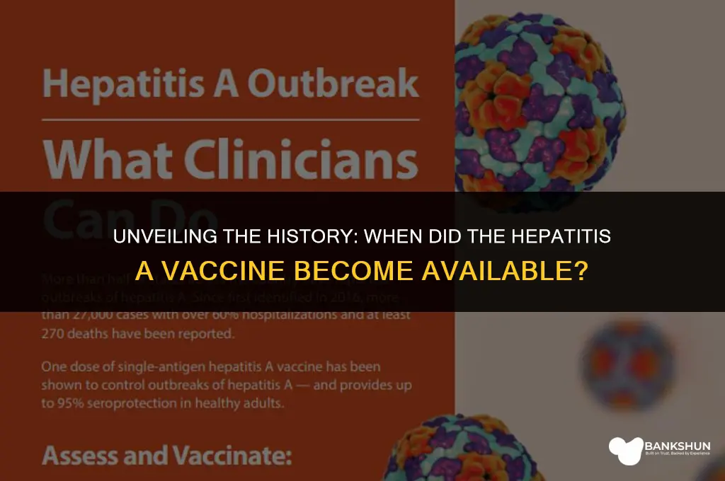 when did hepatitis a vaccine became available