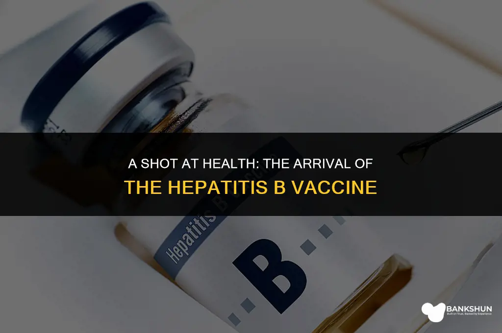 when did hepatitis b vaccine became available