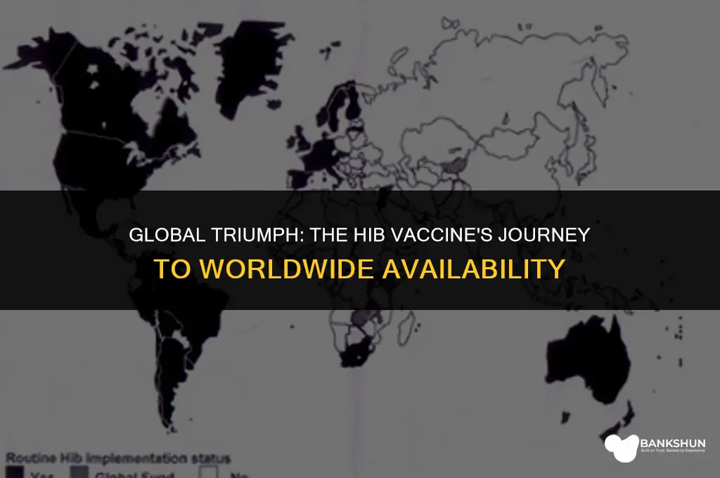 when did hib vaccine become avaible worldwide