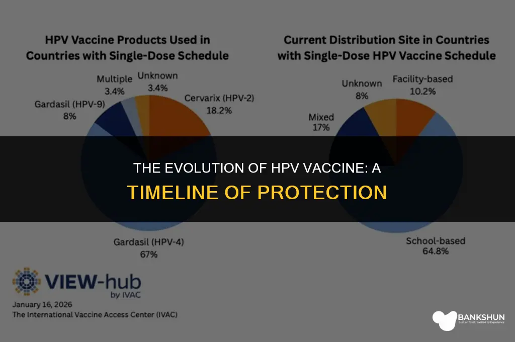 when did it become human papillomavirus vaccine
