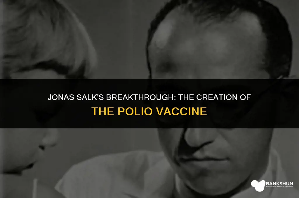 when did jonas salk create the vaccine