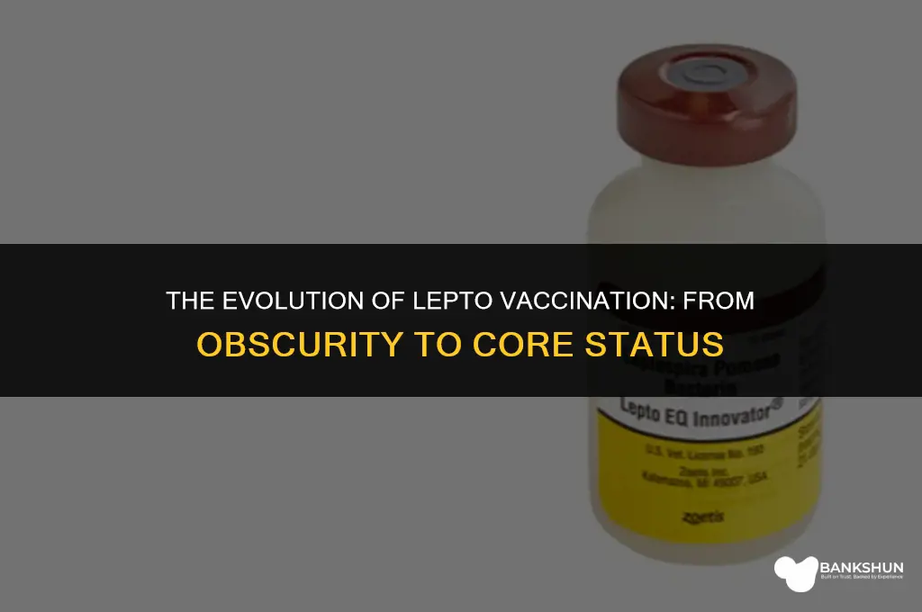 when did lepto become a core vaccine