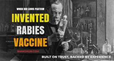 Louis Pasteur's Breakthrough: The Rabies Vaccine Invention
