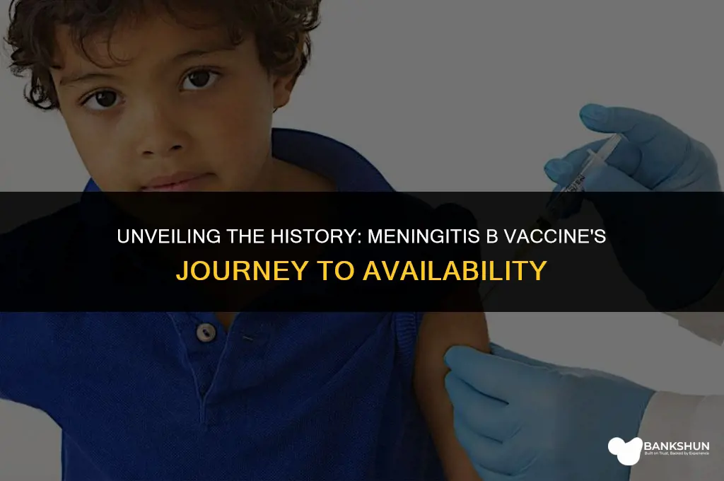 when did meningitis b vaccine become available