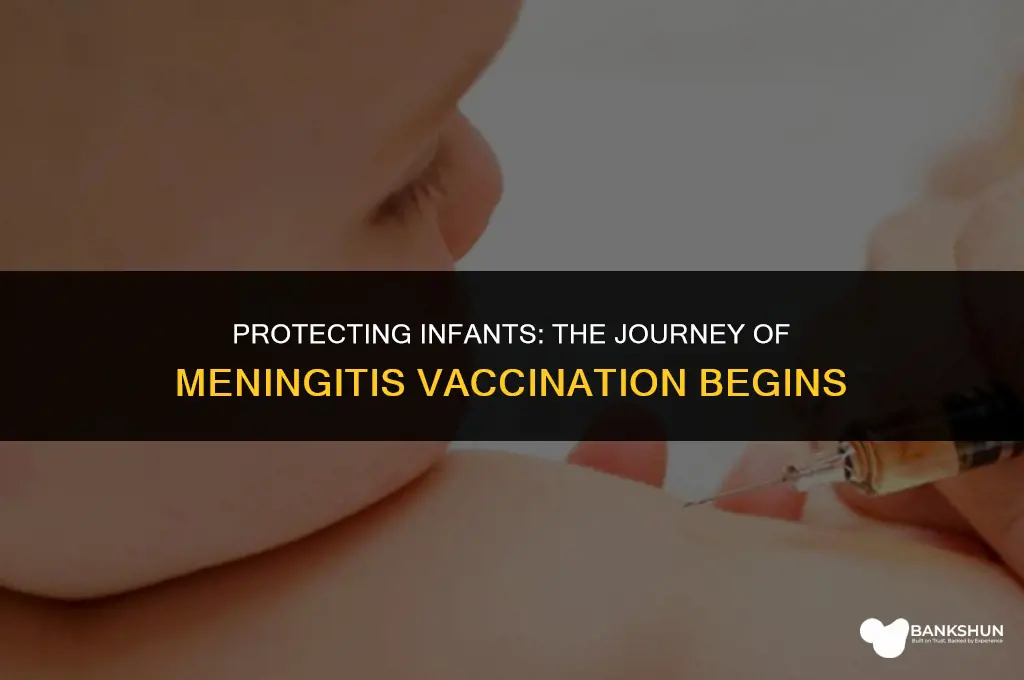 when did meningitis vaccine start for babies
