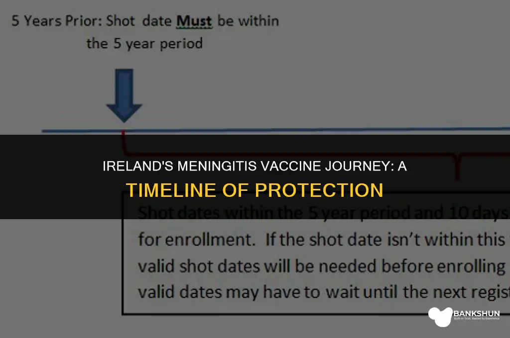 when did meningitis vaccine start in ireland