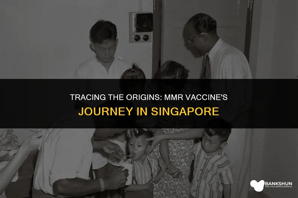 when did mmr vaccine start in singapore