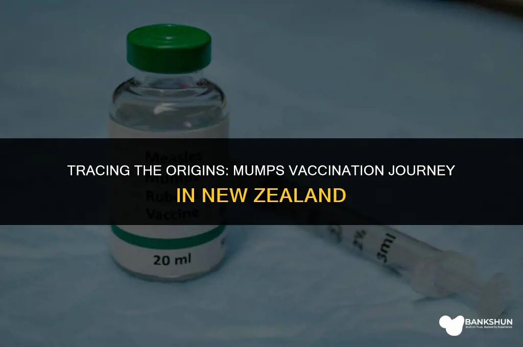 when did mumps vaccination start in nz