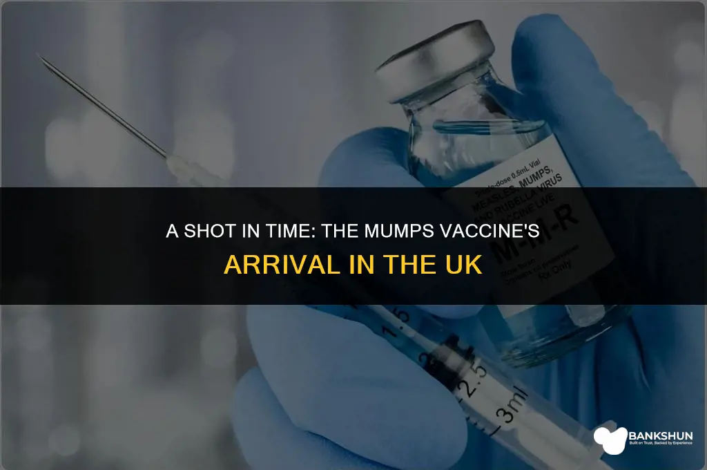 when did mumps vaccine come out uk