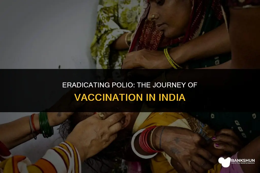 when did polio vaccine start in india