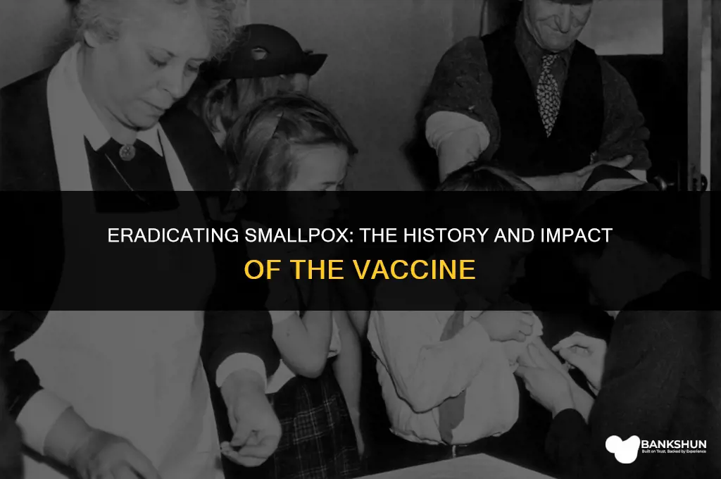 when did small pox vaccine come out